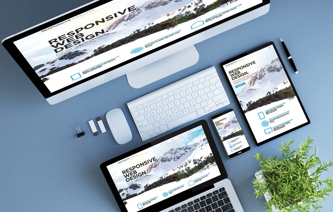 Website Development